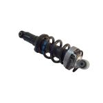 Audi R8 Front Air Suspension Shock Absorber 420412019AG 420412020AG