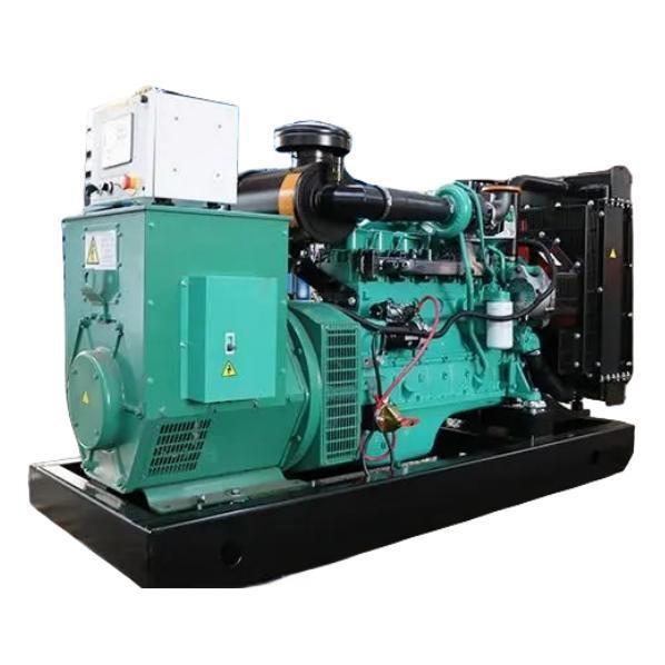 125KVA 100KW Cummins 6CTA8.3-G1 Gas Generator with 50/60hz Frequency in Russian