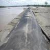 Buy cheap Drainage Woven Geotextile Geotube Dewatering Bags For Sewage Disposal from wholesalers