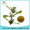Buy cheap Clear Heart and Regulate Menses Natural Motherwort Herb Extract from wholesalers