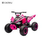 CJ-CH9960A,12V7AH*1/35W*2 Forward/Backward Front light Horn/Purple Red Blue Pink