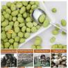 Buy cheap Roasted Peanut Processing Machines SUS304 Coated Nuts Rotary Roaster Machine from wholesalers
