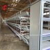 Buy cheap Egg Chicken Farming Poultry Layer Cage Electrostatic Spraying Ada from wholesalers