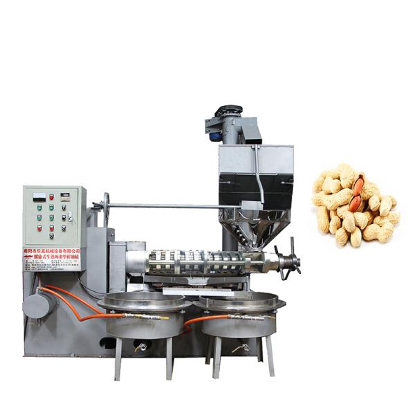 Buy cheap Automatic Industrial Oil Press Machine Peanut Oil Press Machine 220 - 450 Kg/H Capacity from wholesalers