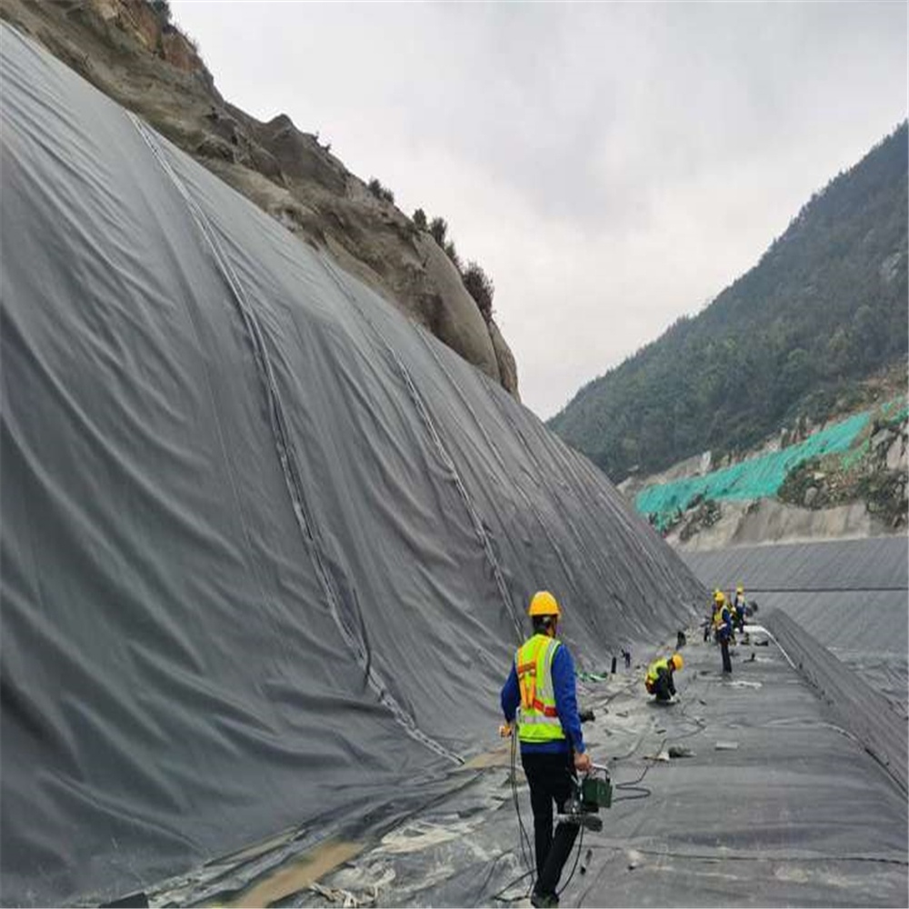 1.5mm 2mm Polyethylene Plastic Geomembrane Liner for Landfill Earthwork Products Exporter