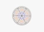 IP44 20W Horticulture LED Grow Light Bulb For Indoor Plants 2 Years Warranty