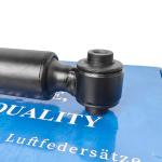 2123261030 2123200730 Air Suspension Shock for Customer Requirements from