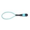 Buy cheap MTP MPO Fiber Optic Loopback OM3 24 Fiber For Data Center OEM from wholesalers