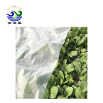 120Gsm PP Spunbond Agricultural Mulch Film