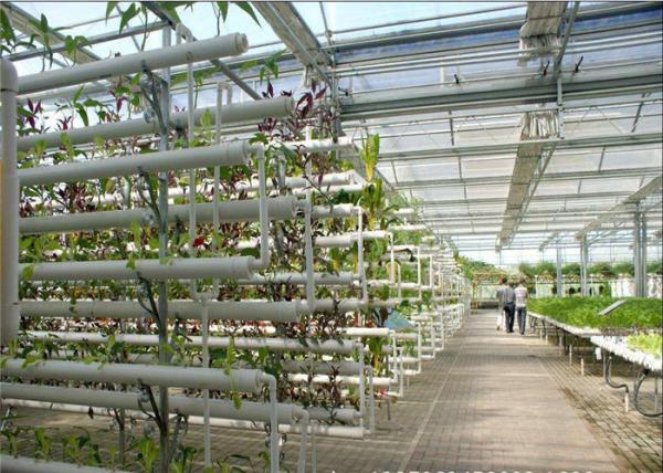 Buy cheap Plastic Film Low Cost Greenhouse , Hydroponic Plastic Greenhouse Accessible To Remove from wholesalers