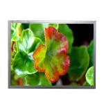 Buy cheap 20 pins 10.4 inch tft lcd module AT104XH01 screen 1024×768 lcd screen display from wholesalers