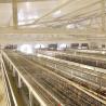 Buy cheap Low Disease Baby Chick Cage 195 * 50 * 35CM Size 20 Years Life Span Free Design from wholesalers