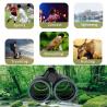 Buy cheap 10x42 ED Binoculars Extra Low Dispersion Objective Lenses Outdoor Telescope from wholesalers