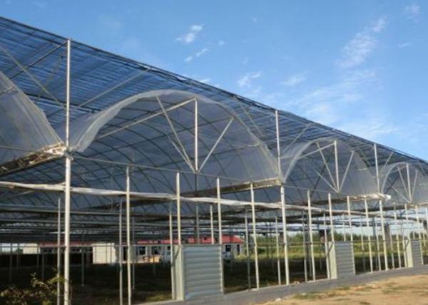 Buy cheap Thermal Insulation Single Span Tunnel Plastic Film Greenhouse from wholesalers