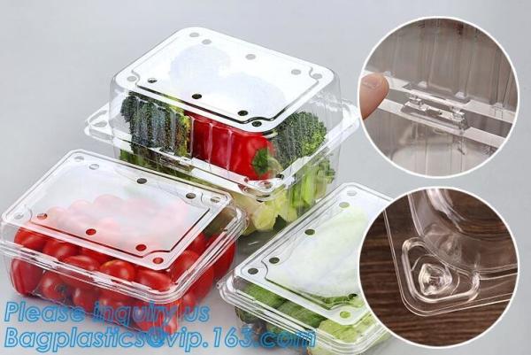 Buy cheap Blister Packaging Food Container,Disposable Blister Fruit Salad Container,Plastic blister fruit box / container / fruit from wholesalers