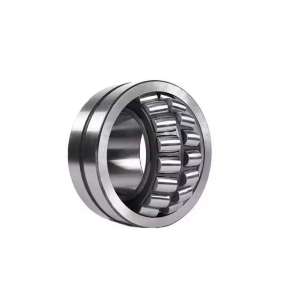 Private Label Reinforced Double Row Bearing 22336CCK/W33+H2336 High End
