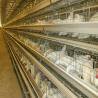 Buy cheap Steel Layer Chicken Cage 4 Birds Per Cell Hot Dipped Galvanized Battery Cage System from wholesalers