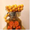 Buy cheap Drink Shop Commercial Orange Juicer Machine Citrus Fruit Extrator 110V / 60HZ from wholesalers