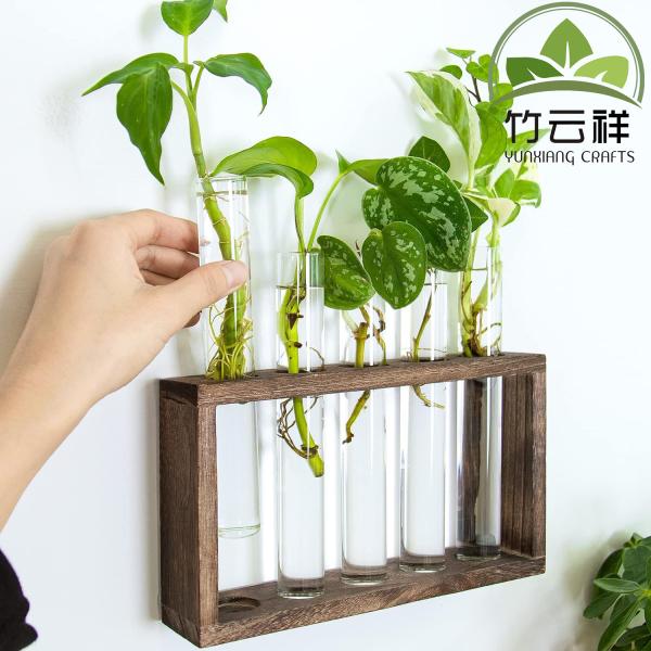 Buy cheap Customized Wood Stand Rack Tabletop Terrarium for Hydroponic Plants Cuttings Office Home Decoration, Gift for Plant Lover from wholesalers