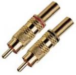 Buy cheap plug and connectors from wholesalers