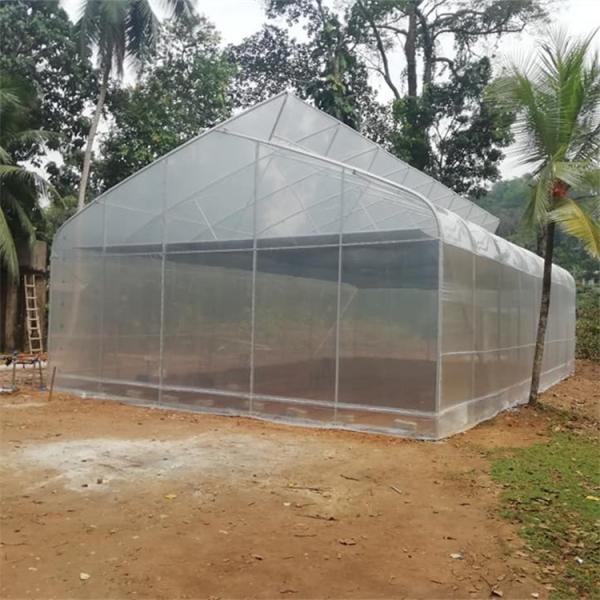 Cheap Good Price Plastic Film Tropical Tunnel House Single-Span Sawtooth Top