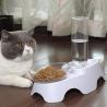 Buy cheap Plastic Dog Pets Double Cat Food Bowls With Automatic Waterer Bottle from wholesalers