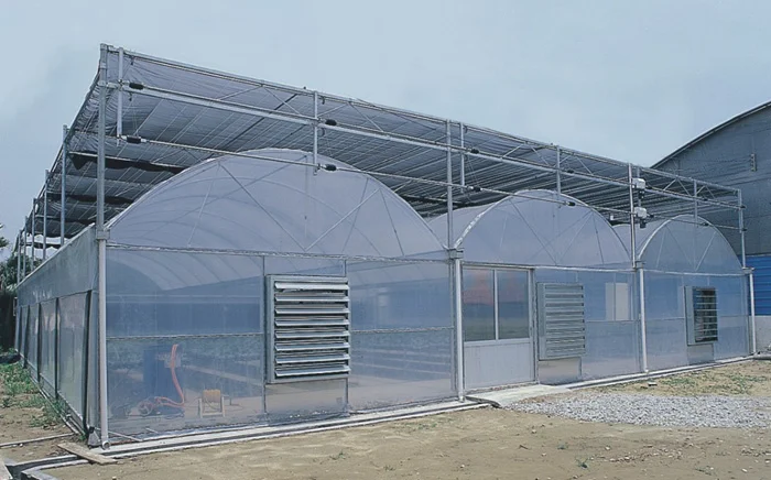 Large Air Flow Exhaust Fan For Greenhouse Poultry House Ventilation System 60KG