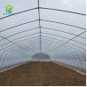 Buy cheap Serre Gothique 240m2 Poly Tunnel Greenhouse Economical Gothic Arch Greenhouse from wholesalers