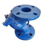 OEM Ductile Iron Y Strainer 2 Inch With SS Screen