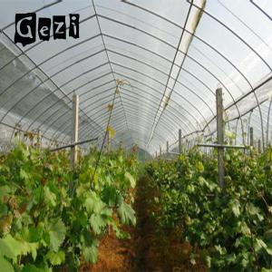 Wholesale 60gsm High Tensile Strength Insect Mesh Netting For Disease Prevention from china suppliers