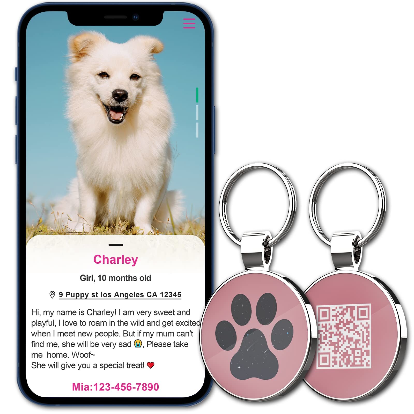 Engraved Pet Tags Dog ID Tag Ring 2D Easy To Use With QR Code Laser