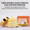 Buy cheap Organic Skin Care Acne Wrinkle Dark Spot Moisturizer Bleaching Turmeric Face Cream from wholesalers