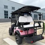 Electric Golf Cart With Canopy 60v 100ah Lead Acid Battery Front Bumper And