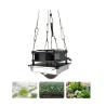 Buy cheap Greenhouse Full Spectrum 50W COB Hydroponic Flower Plant from wholesalers