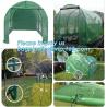 Buy cheap Strawberry Planting Green House,200 micron UV plastic film for agriculture green house,High safety greenhouse for plants from wholesalers