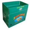 Buy cheap Corrugated Board Fruit Carton Box from wholesalers