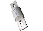 HEV High Current Ceramic Automotive Fuses For UPS 500VDC Rated Voltage: