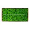 Buy cheap Environmental-Friendly Silk PE Faux Fake Moss Wall Art Panels 450g/Set from wholesalers