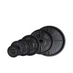 Wholesale High Quality Free Weight Training Cast Iron Standard Weight Plates