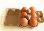 Waste Paper Egg Tray Making Machine / Pulp Molding Equipment Long Life Use