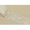 Buy cheap Guipure Embroidered Lace Trim With 100% Polyester from wholesalers