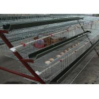 Buy cheap Space Saving Broiler Poultry Farming Equipment Chicken Egg Farm Equipment product