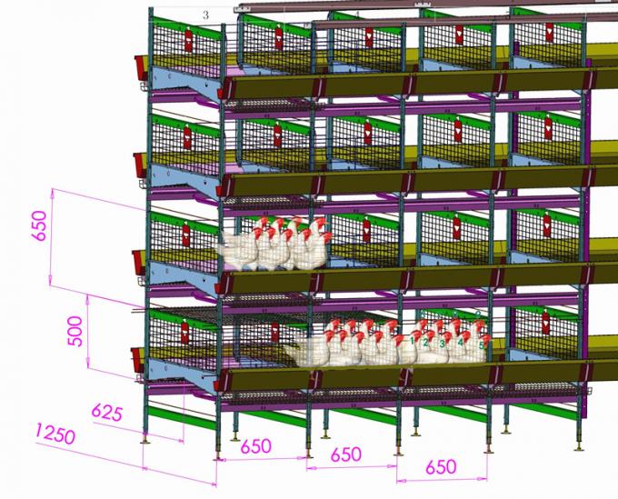 144 Birds H Type Chicken Cage , Q235A HDG Chicken Laying Eggs Cage 0