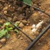Buy cheap Agricultural Equipment Greenhouse Irrigation System For Vegetables Diy from wholesalers