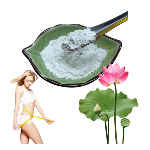 Buy cheap 10% 50% 98% Lotus Leaf Extract Nuciferine Herbal Extract Powder Free Fatty Acids from wholesalers