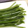 Buy cheap Japanese Ingredient: Dried Kelp / Kombu Sprouts Nutrient Rich Superfood with HACCP Certification from wholesalers