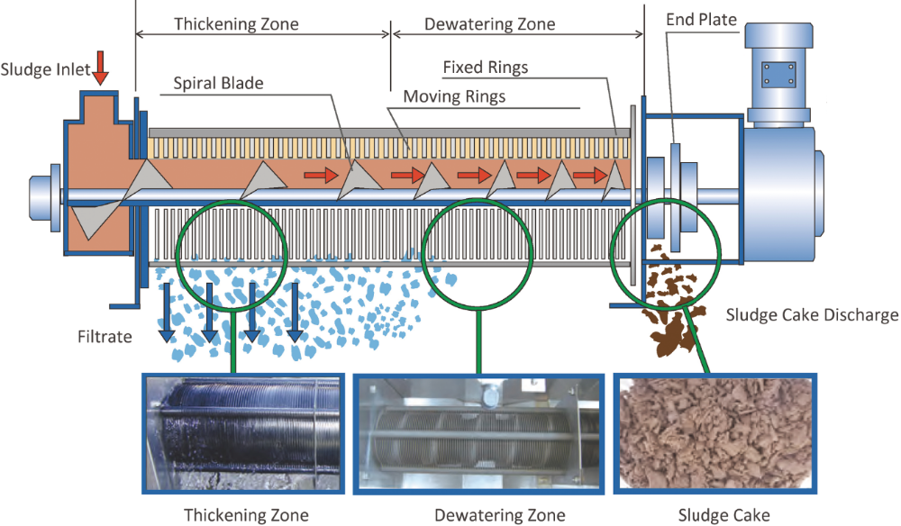 Water Treatment Sludge Separator Supply Dewatering Screw Press From Top