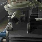 Low Voltage Electric Motors Corrosion Protection For Electric Forklift