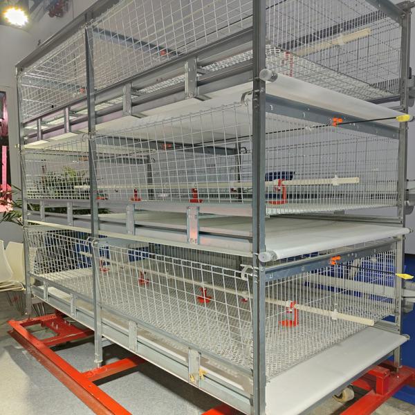 Buy cheap 90/120 Broiler Battery Cage System , H Frame Q235A Broiler Farm Equipment from wholesalers