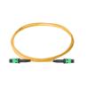 Buy cheap 24 Core Singlemode MTP MPO Fiber Cable IEEE Standard Custom Length from wholesalers
